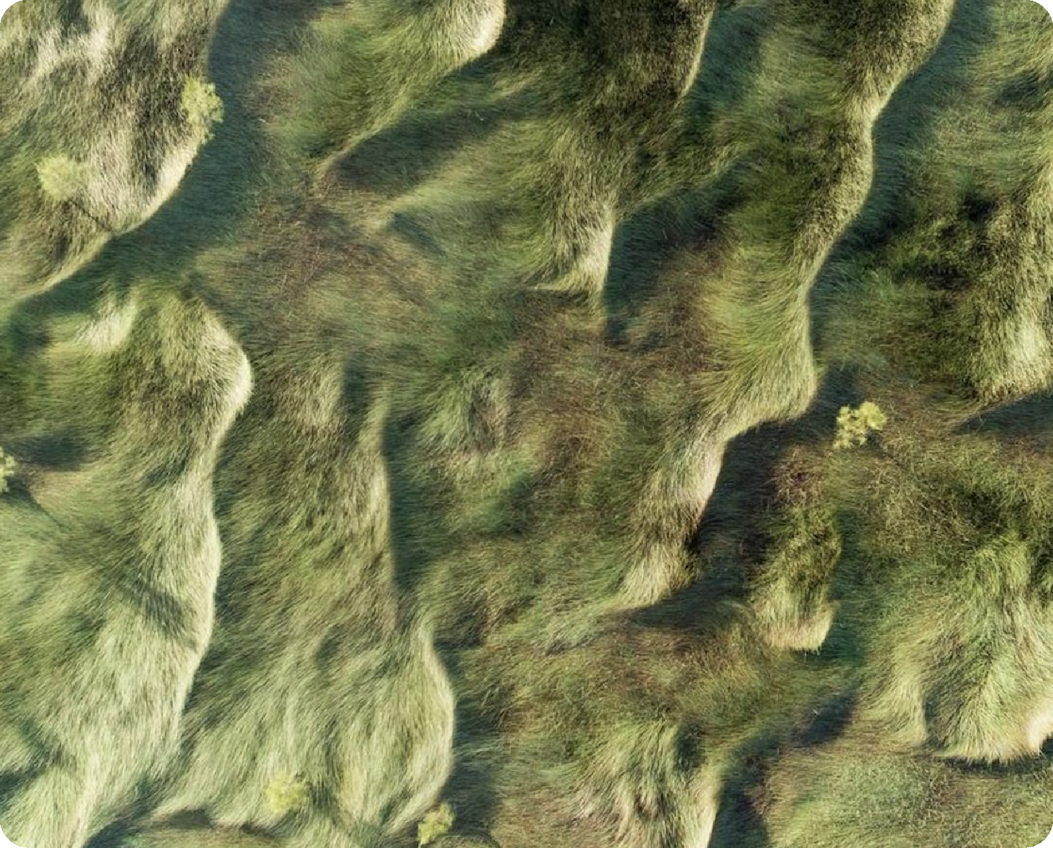 FSC Semi Gloss Label Material