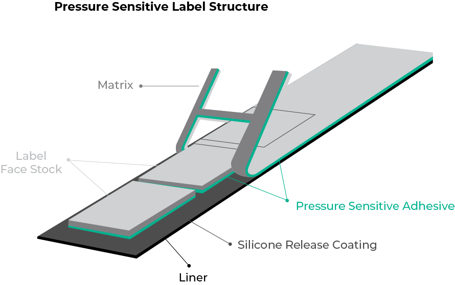 Summit Pressure Sensitive Label Structure